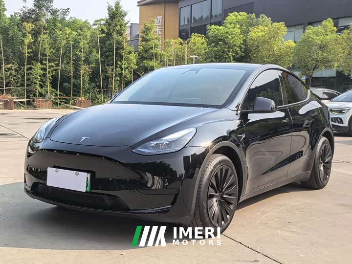 Tesla Model Y Rear-Wheel Drive
