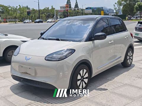 2023 Wuling Binguo 333km Joy Edition - car from China