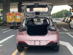 Dongfeng Nanotech 01 Refresh Edition 430 Plus Smart - photo 13