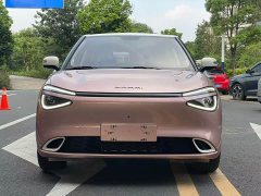 Dongfeng Nanotech 01 Refresh Edition 430 Plus Smart - photo 2