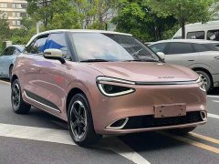 Dongfeng Nanotech 01 Refresh Edition 430 Plus Smart - photo 3