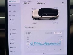NIO ES8 75kWh - ფოტო 13