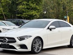 Mercedes-Benz CLS 300 Dynamic - ფოტო 1