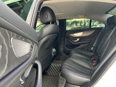 Mercedes-Benz CLS 300 Dynamic - ფოტო 10
