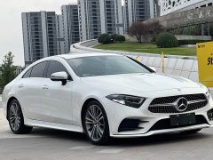 Mercedes-Benz CLS 300 Dynamic - ფოტო 2