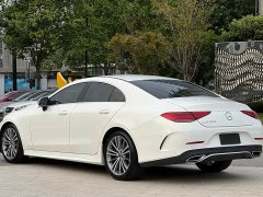 Mercedes-Benz CLS 300 Dynamic - ფოტო 3