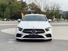 Mercedes-Benz CLS 300 Dynamic - ფოტო 6