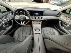 Mercedes-Benz CLS 300 Dynamic - ფოტო 8