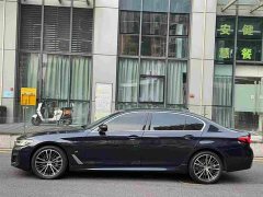 BMW 5 Series 530Li Premier M Sport Package - ფოტო 2