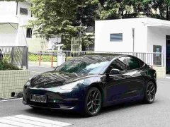 Tesla Model 3 Performance All-Wheel Drive 3D6 - ფოტო 1