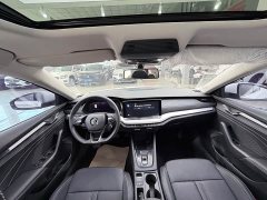 Skoda Octavia PRO TSI280 Luxury Edition - фото 10