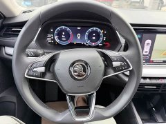 Skoda Octavia PRO TSI280 Luxury Edition - фото 11