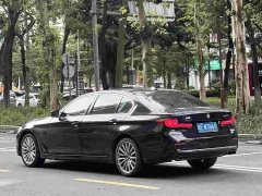 BMW 5 Series 530Li Luxury Edition Premium Package - ფოტო 3