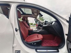 BMW 3 Series 320Li M Sport Package - ფოტო 11