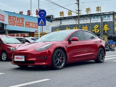 Tesla Model 3 Performance All-Wheel Drive 3D6 - ფოტო 1