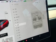 Tesla Model 3 Performance All-Wheel Drive 3D6 - ფოტო 10