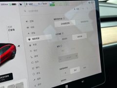 Tesla Model 3 Performance All-Wheel Drive 3D6 - ფოტო 11