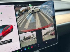 Tesla Model 3 Performance All-Wheel Drive 3D6 - ფოტო 12