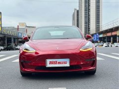 Tesla Model 3 Performance All-Wheel Drive 3D6 - ფოტო 2