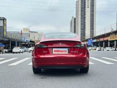 Tesla Model 3 Performance All-Wheel Drive 3D6 - ფოტო 4