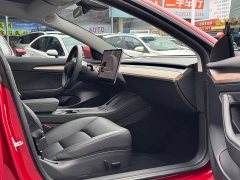 Tesla Model 3 Performance All-Wheel Drive 3D6 - ფოტო 7