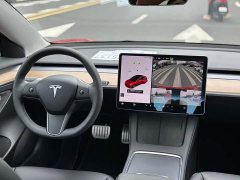 Tesla Model 3 Performance All-Wheel Drive 3D6 - ფოტო 8