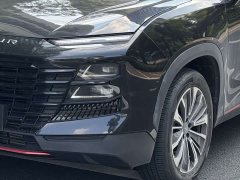Jetour Jietu Dasheng 1.6T DCT King - ფოტო 12