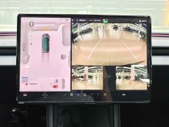 Tesla Model 3 Rear-Wheel Drive - ფოტო 13
