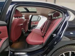 BMW 3 Series 320Li M Sport Package - ფოტო 10