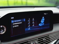 Lexus LS 500h F SPORT - ფოტო 16