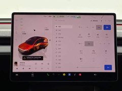 Tesla Model Y Facelift Long Range All-Wheel Drive - ფოტო 13