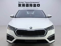 Skoda Octavia PRO TSI280 Luxury Edition - photo 2