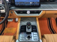 Tank 500 New Energy Hi4-Z - ფოტო 8