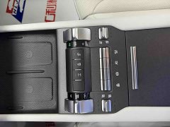 Tank 300 New Energy Hi4-T 37.1kWh - ფოტო 10