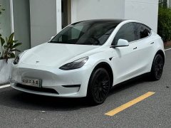 Tesla Model Y Long Range All-Wheel Drive - ფოტო 1