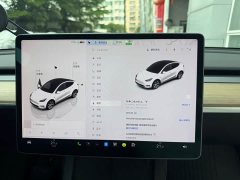 Tesla Model Y Long Range All-Wheel Drive - ფოტო 12