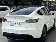 Tesla Model Y Long Range All-Wheel Drive - ფოტო 18