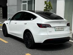 Tesla Model Y Long Range All-Wheel Drive - ფოტო 19