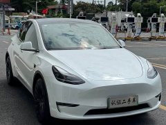Tesla Model Y Long Range All-Wheel Drive - ფოტო 2