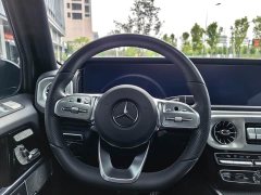 Mercedes-Benz G-Class G 350 - ფოტო 10