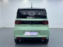 BMW Hongguang MINIEV Macaron Premium Edition LFP - ფოტო 8