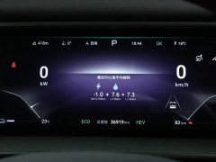 Denza BYD Denza D9 2024 DM-i 1050 Premium - ფოტო 8
