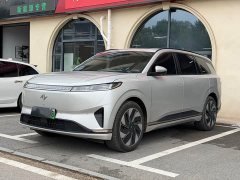 Tesla eπ008 2024 636Max Pure Electric 6-Seater - ფოტო 1