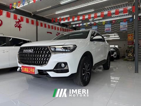 2023 Haval H6 National Trend Edition 1.5T Automatic Urban Version - ავტომობილი ჩინეთიდან