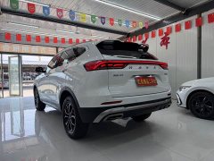 Haval H6 National Trend Edition 1.5T Automatic Urban Version - ფოტო 4