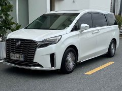 Buick GL8 ES Luxe 653T Prestige - ფოტო 1