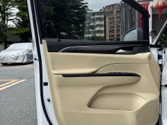 Buick GL8 ES Luxe 653T Prestige - ფოტო 6