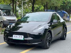 Tesla Model Y Rear-Wheel Drive - ფოტო 1