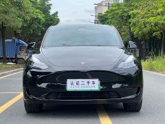 Tesla Model Y Rear-Wheel Drive - ფოტო 2
