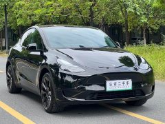 Tesla Model Y Rear-Wheel Drive - ფოტო 3